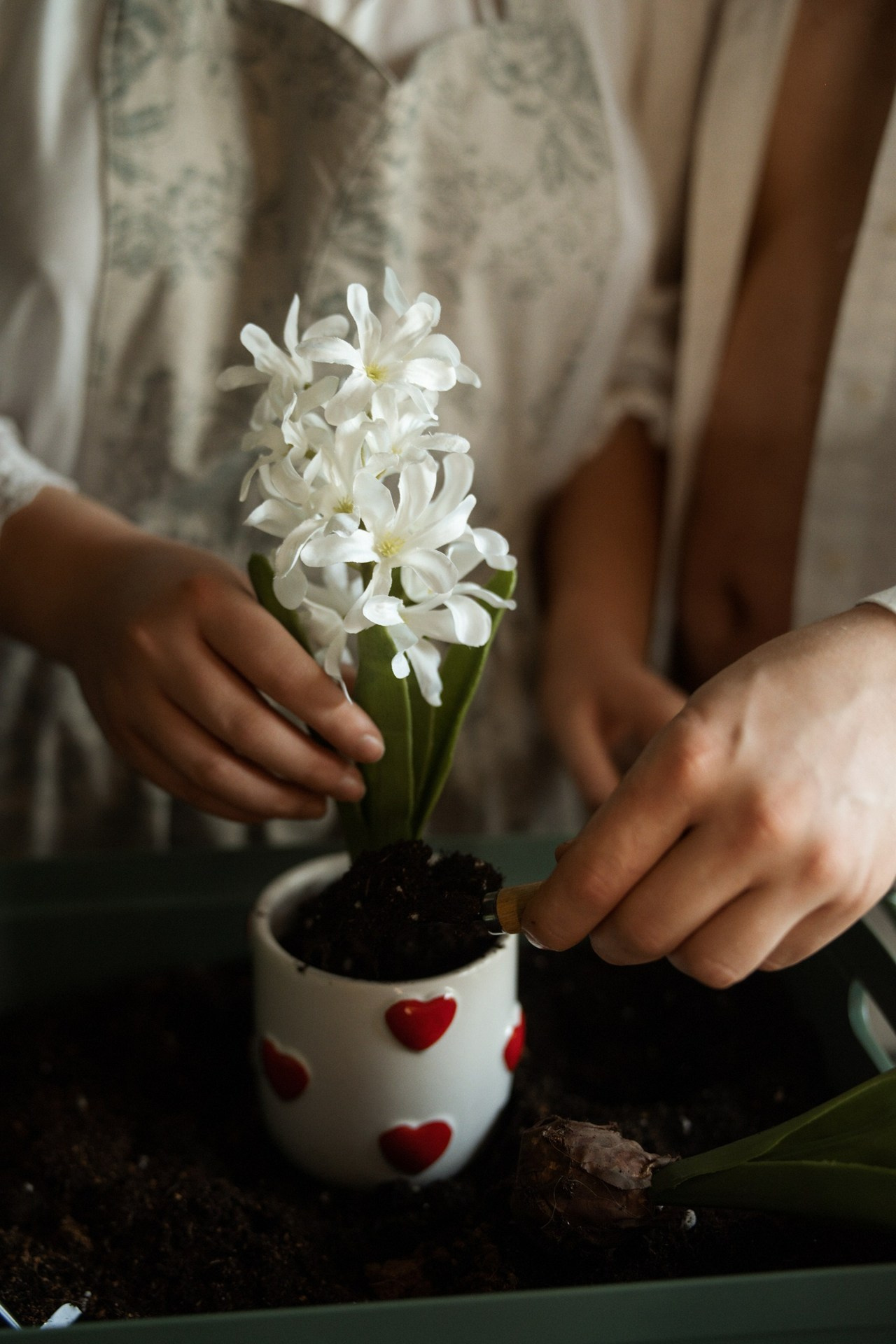 Feedback. Photographer in Paris