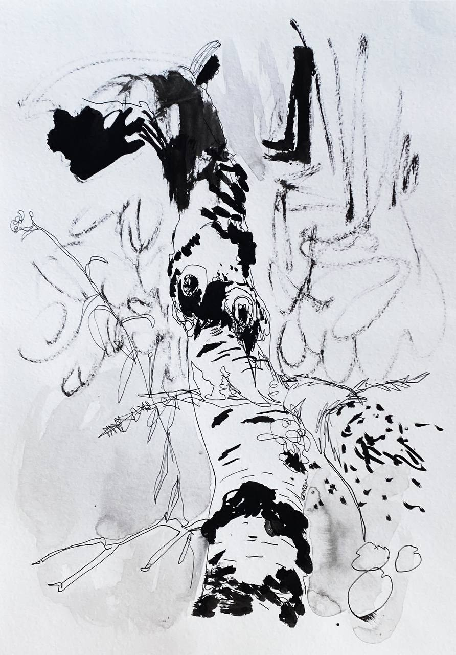 'Memory-Map', Mozyr, August 2023. 7 ink drawings 30 x 40 cm made during my trip to a place where I spent my summer holidays as a child. All the drawings were made from life in places important to my memories: on the river bank, in the garden, in ravines, in the forest. Each drawing is my portal to that place. 