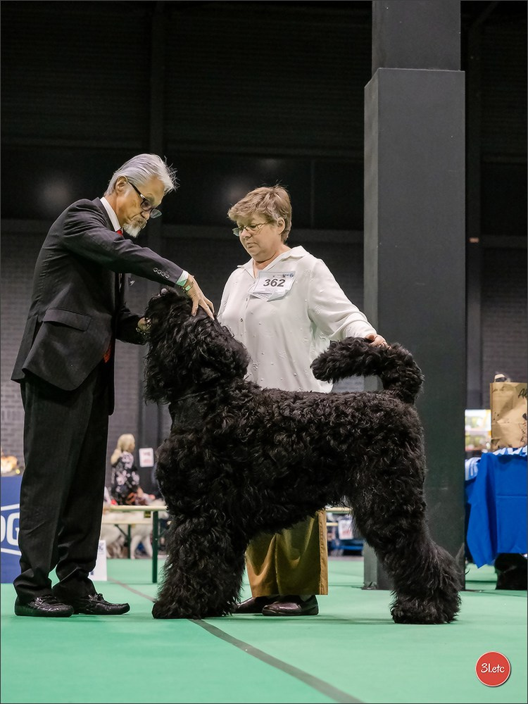 🇳🇱 IDS Maastricht 27/28 Sept 2025 🇳🇱. Photographe à Strasbourg | Portraits, Studio, Enfants, Événements