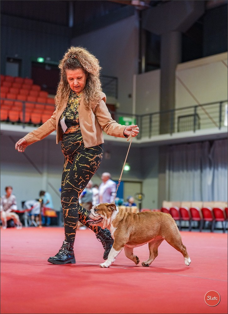 Expo canine 🇫🇷 Martigues 18-19/04/2026