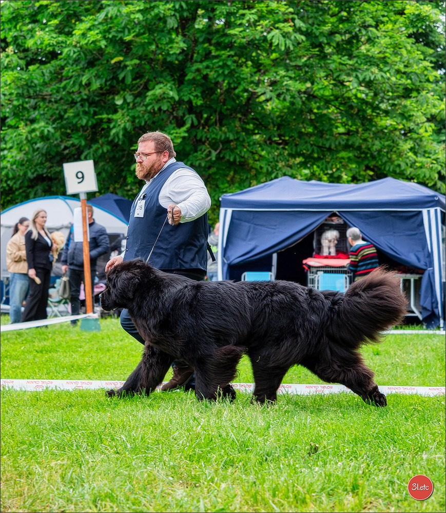 Expo canine Nancy  🇫🇷  25/05/2025. Photographe à Strasbourg | Portraits, Studio, Enfants, Événements