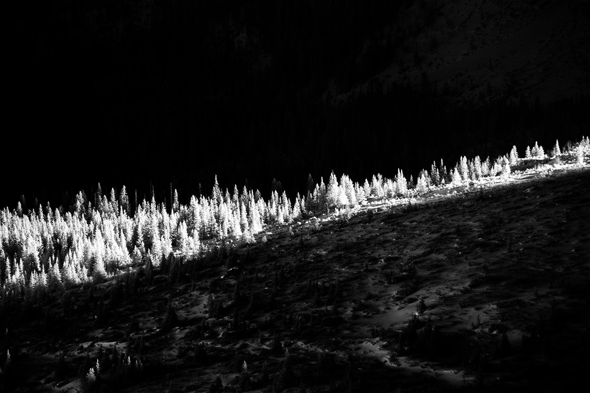 Отпечатки света. Фотограф в Израиле Максим Саяпин