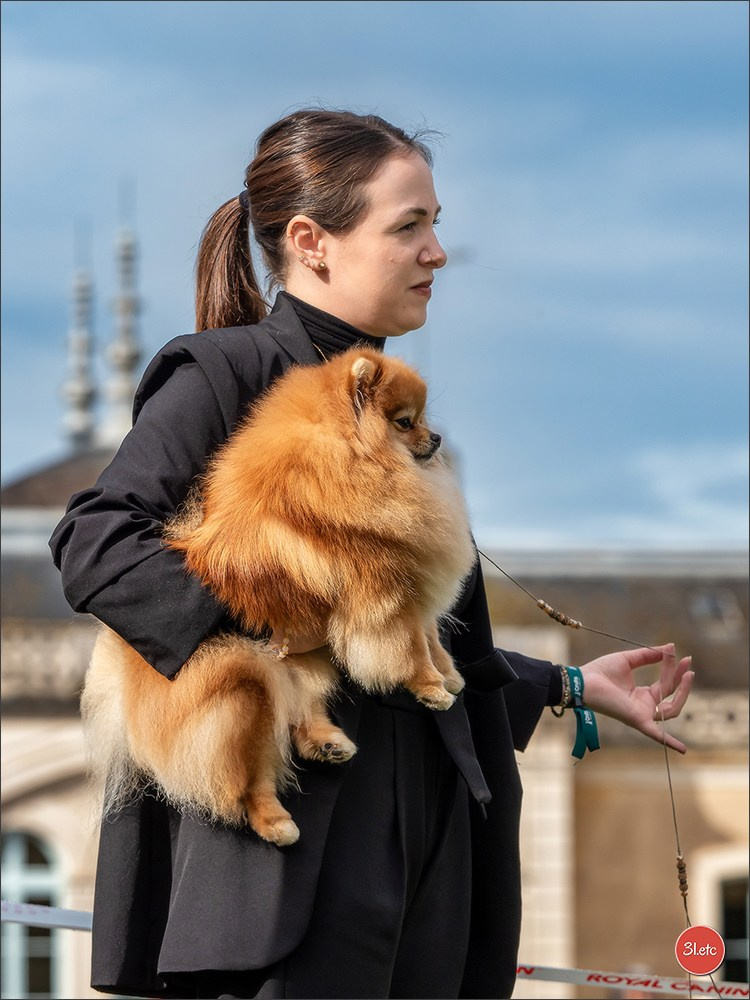 Photographie animalière. Photographe à Strasbourg | Portraits, Studio, Enfants, Événements