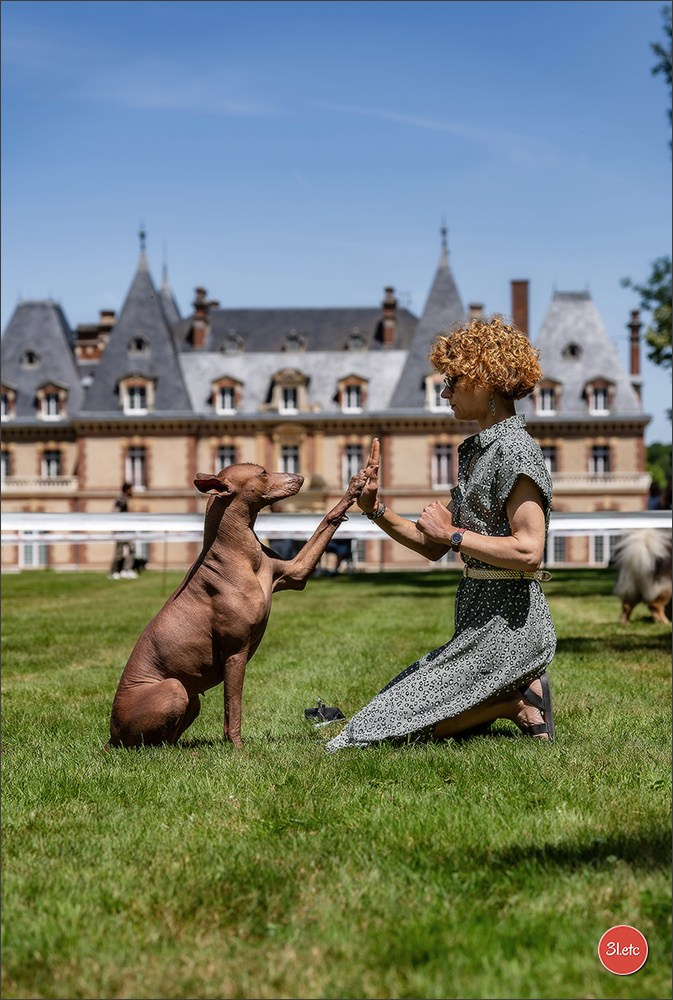🇫🇷  CHARTRES  🇫🇷  2026  🇫🇷  Exposition Canine Nationale - Château des Boulard