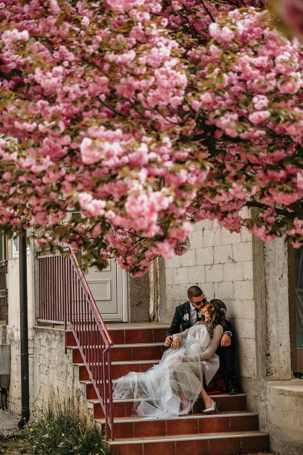 Galerija. Mladen Stanić Photography