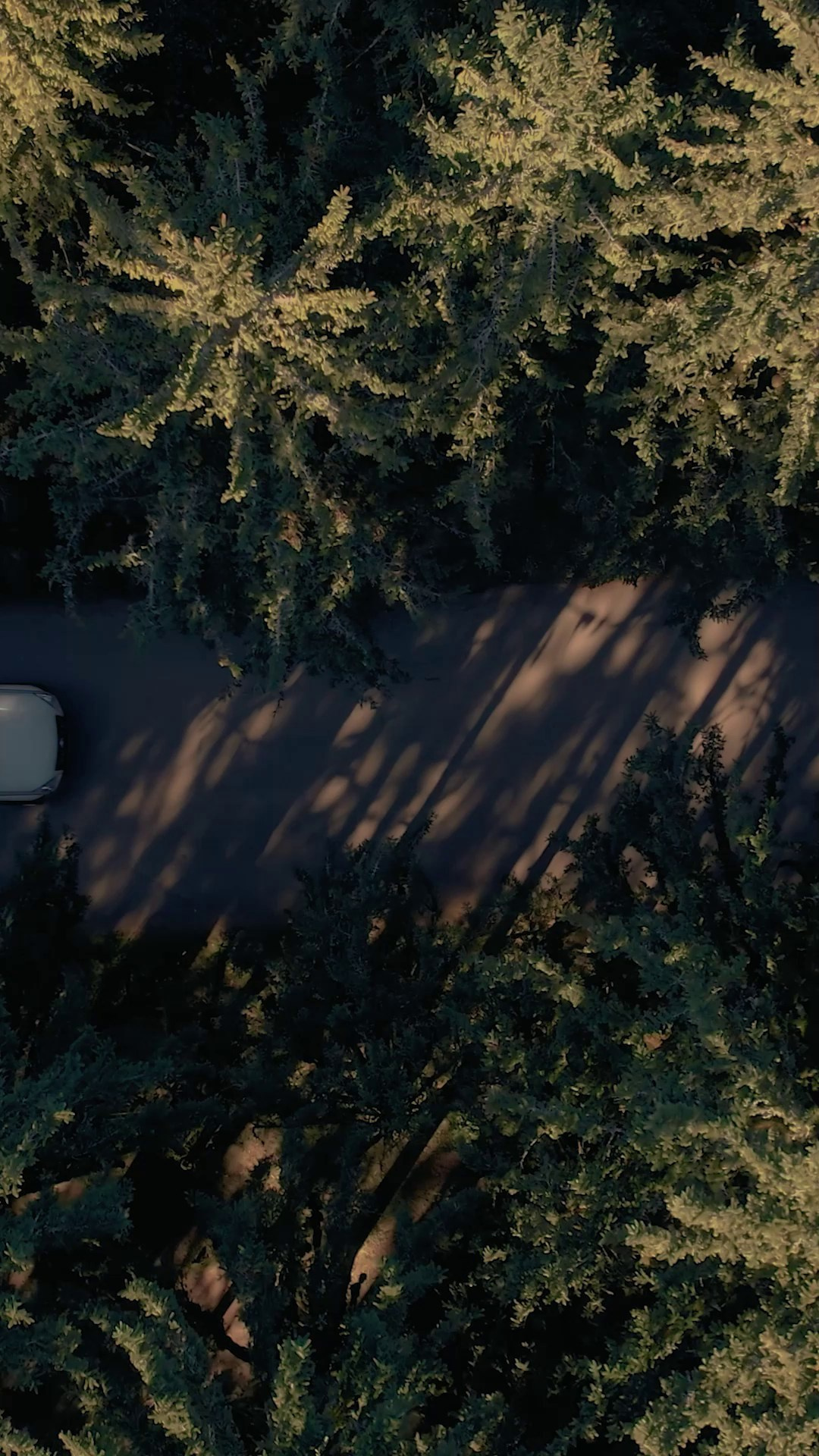 Commercial. Behnam Kazemi Studio