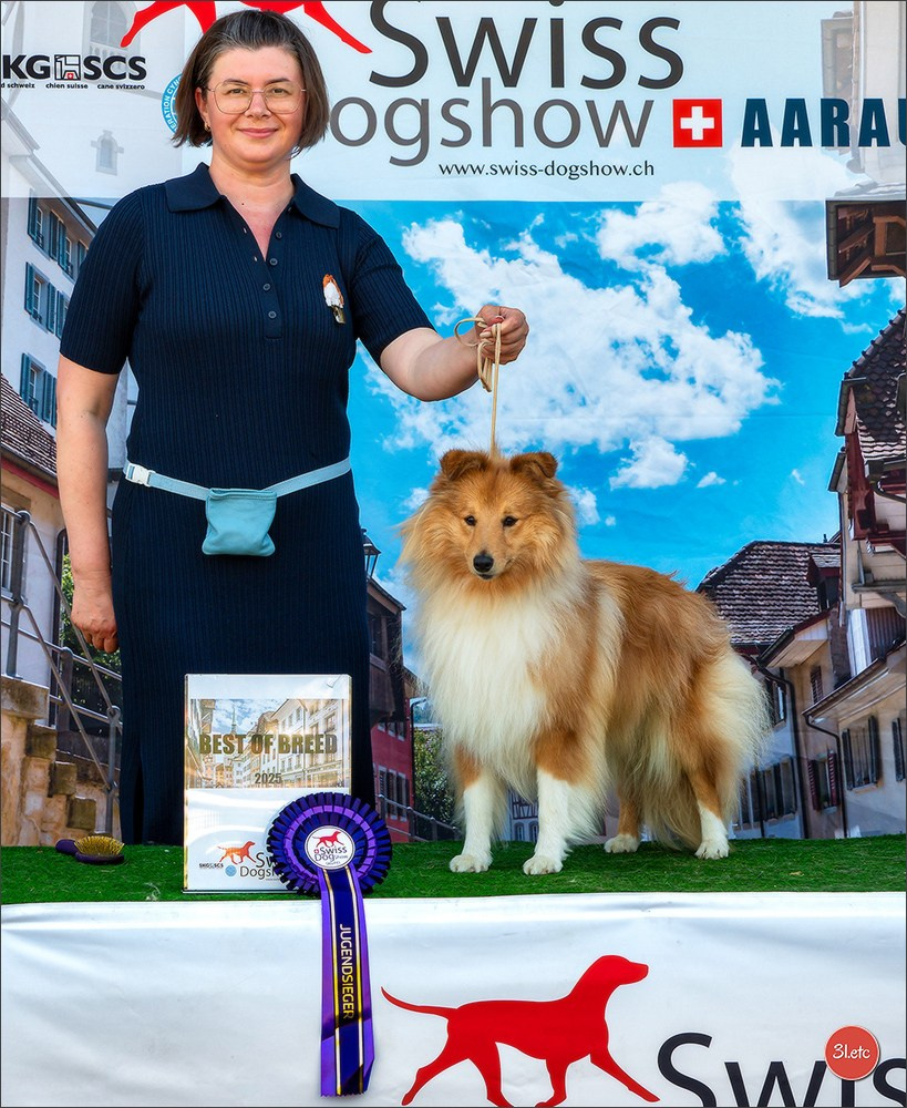 🇨🇭 Geneva Dog Show 15-17/11/2024. Photographe à Strasbourg | Portraits, Studio, Enfants, Événements