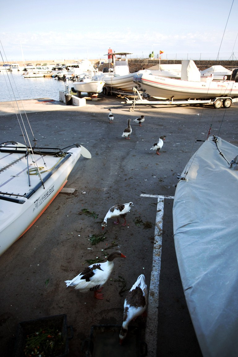 Испания. Портретный фотограф Алена Новгородцева