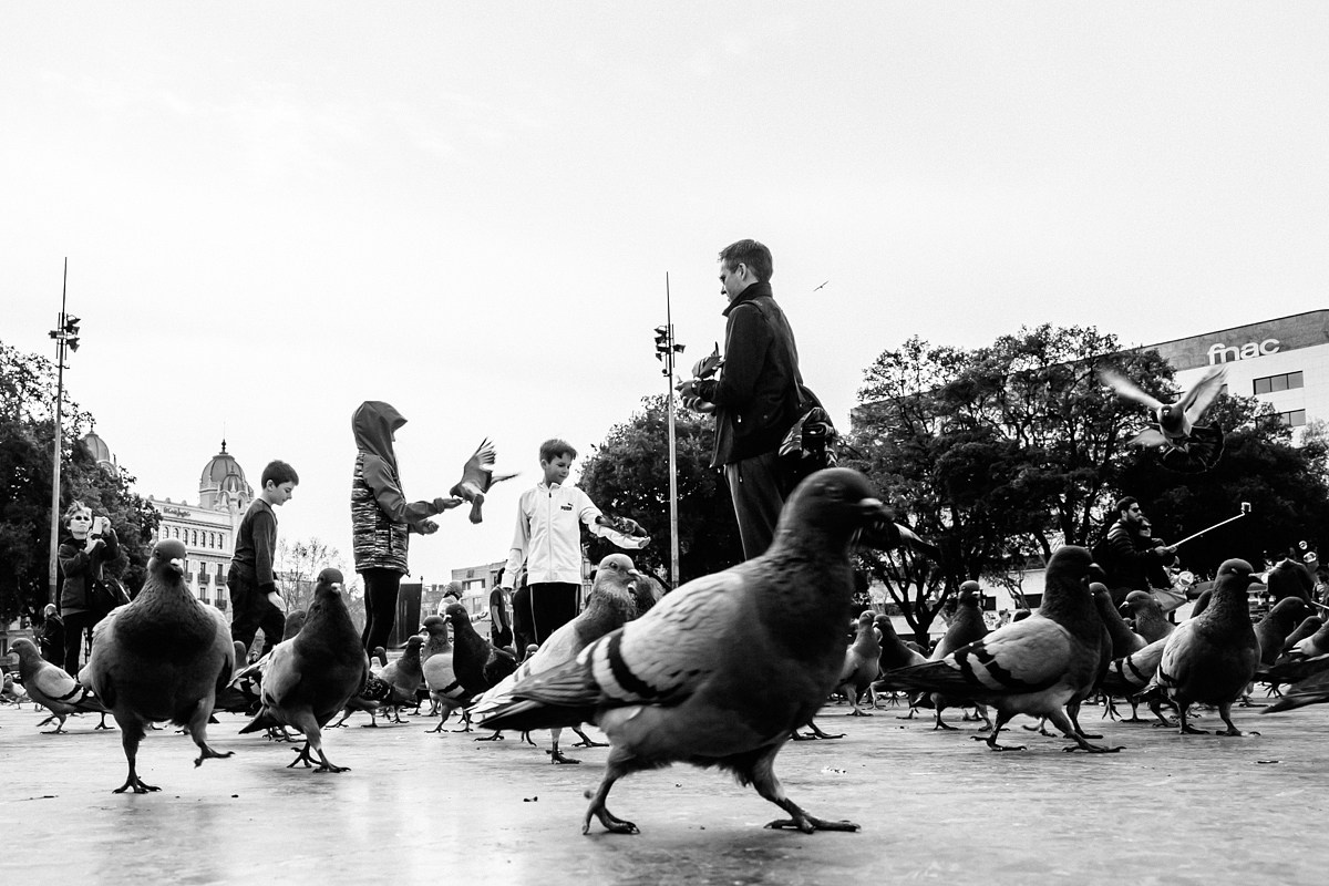 Испания. Портретный фотограф Алена Новгородцева
