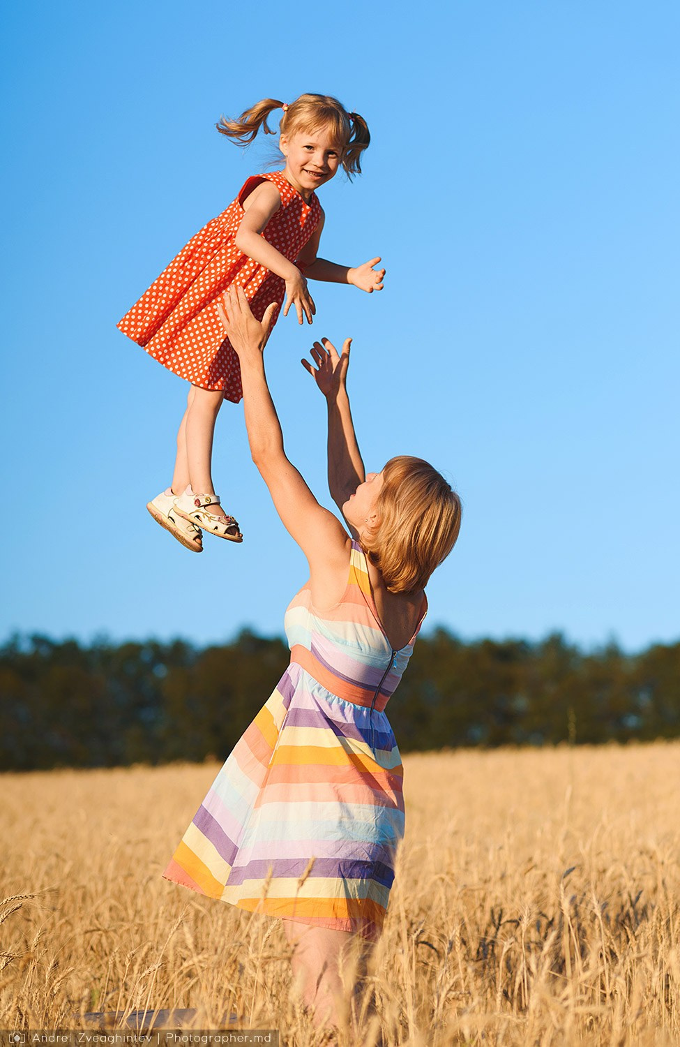 Family photo session in a wheat field of Moldova — family photographer Andrei Zveaghintev. Wedding and family photographer in Moldova, Chisinau— Andrei Zveaghintev