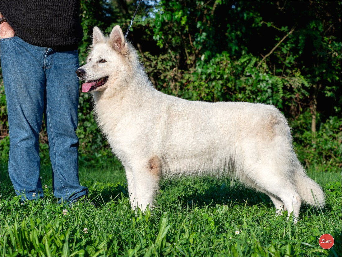Domaine de la patte blanche. Photographe à Strasbourg | Portraits, Studio, Enfants, Événements