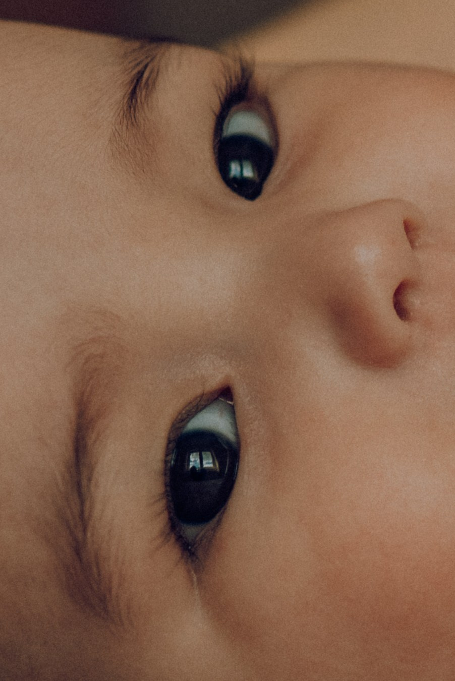 M.M.L. Семейный фотограф. Сербия. Нови-Сад. Белград