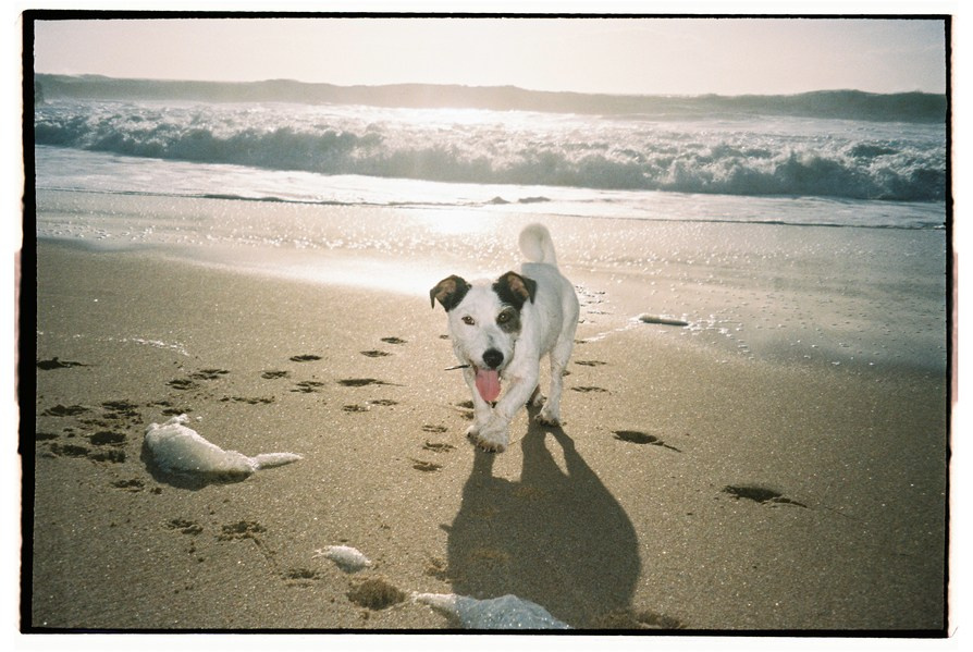 FILM. Valery — Film and digital Photographer. Conceptual, Portrait & Brand Photography. Authentic, Identity Focused Storytelling. Lisbon, Portugal