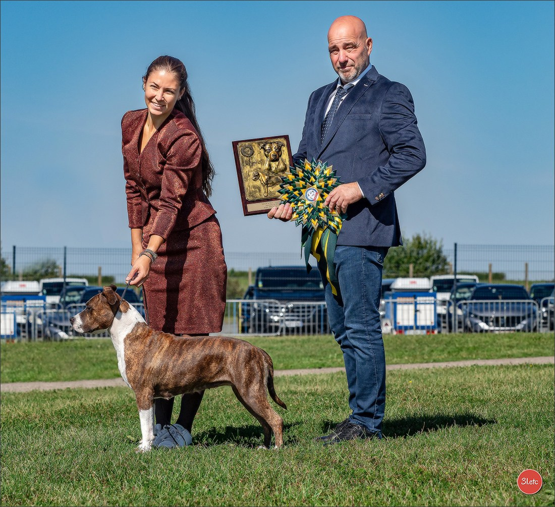 Expo canine 🇫🇷 MARGNY LES COMPIEGNE 06-07/09/2025. Photographe à Strasbourg | Portraits, Studio, Enfants, Événements