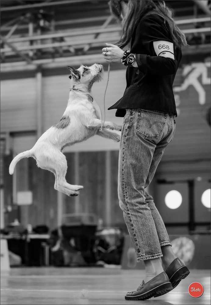 Photographie animalière. Photographe à Strasbourg | Portraits, Studio, Enfants, Événements