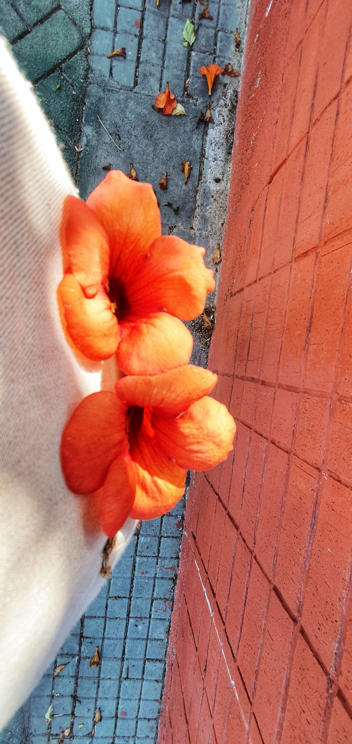 Street фото. Consultation on printing in various magazines, illustrations for books