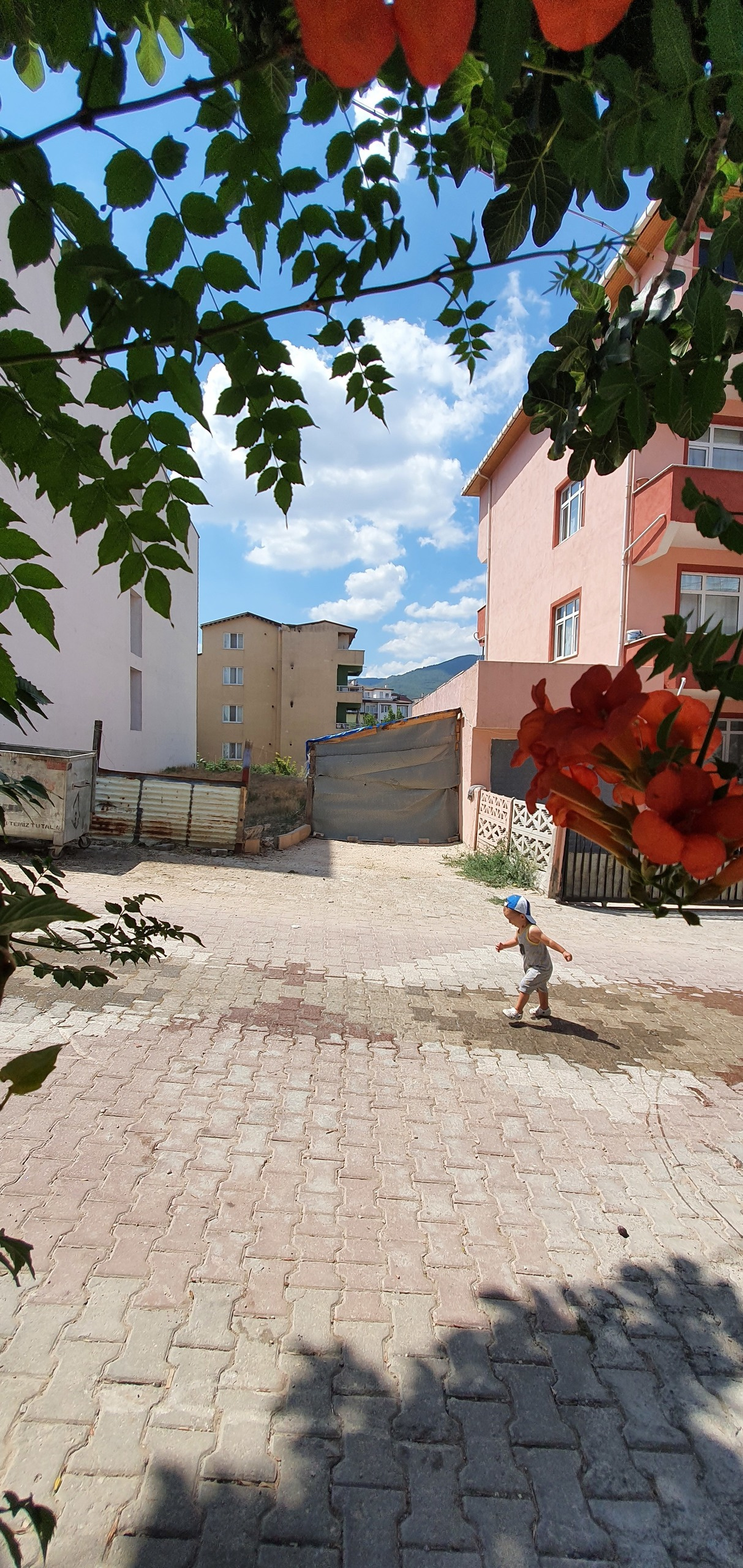 Street фото. Consultation on printing in various magazines, illustrations for books