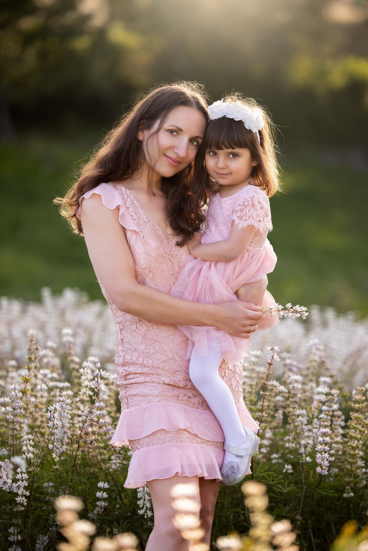 Lupines Story. Photographer is San Jose, Iryna Novosyolova