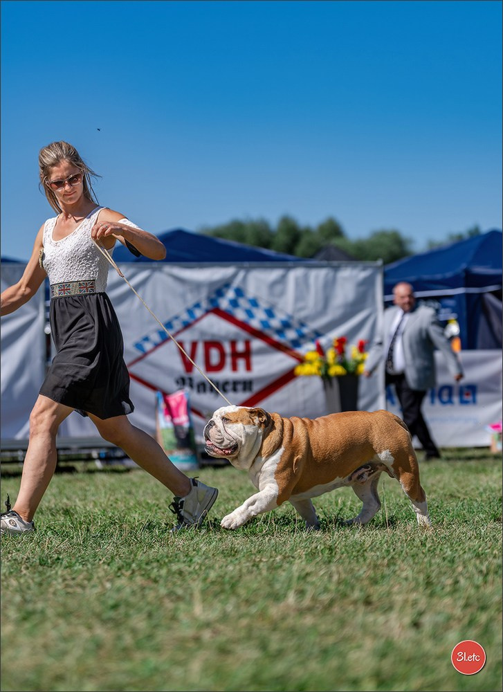 Dog Show - Hallbergmoos 🇩🇪 11-12/07/2026