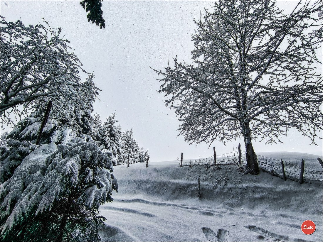 Swiss. Photographe à Strasbourg | Portraits, Studio, Enfants, Événements