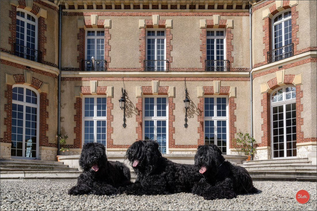 🇫🇷  CHARTRES  🇫🇷  2026  🇫🇷  Exposition Canine Nationale - Château des Boulard