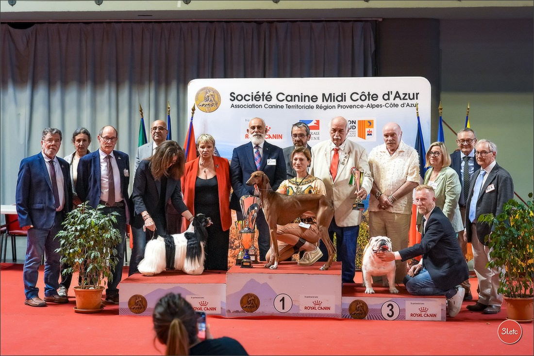 Expo canine 🇫🇷 Martigues 18-19/04/2026