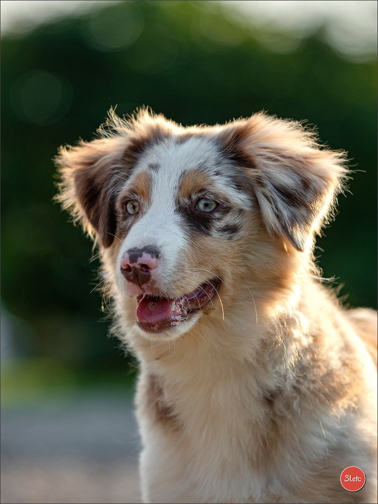 Domaine de la patte blanche. Photographe à Strasbourg | Portraits, Studio, Enfants, Événements