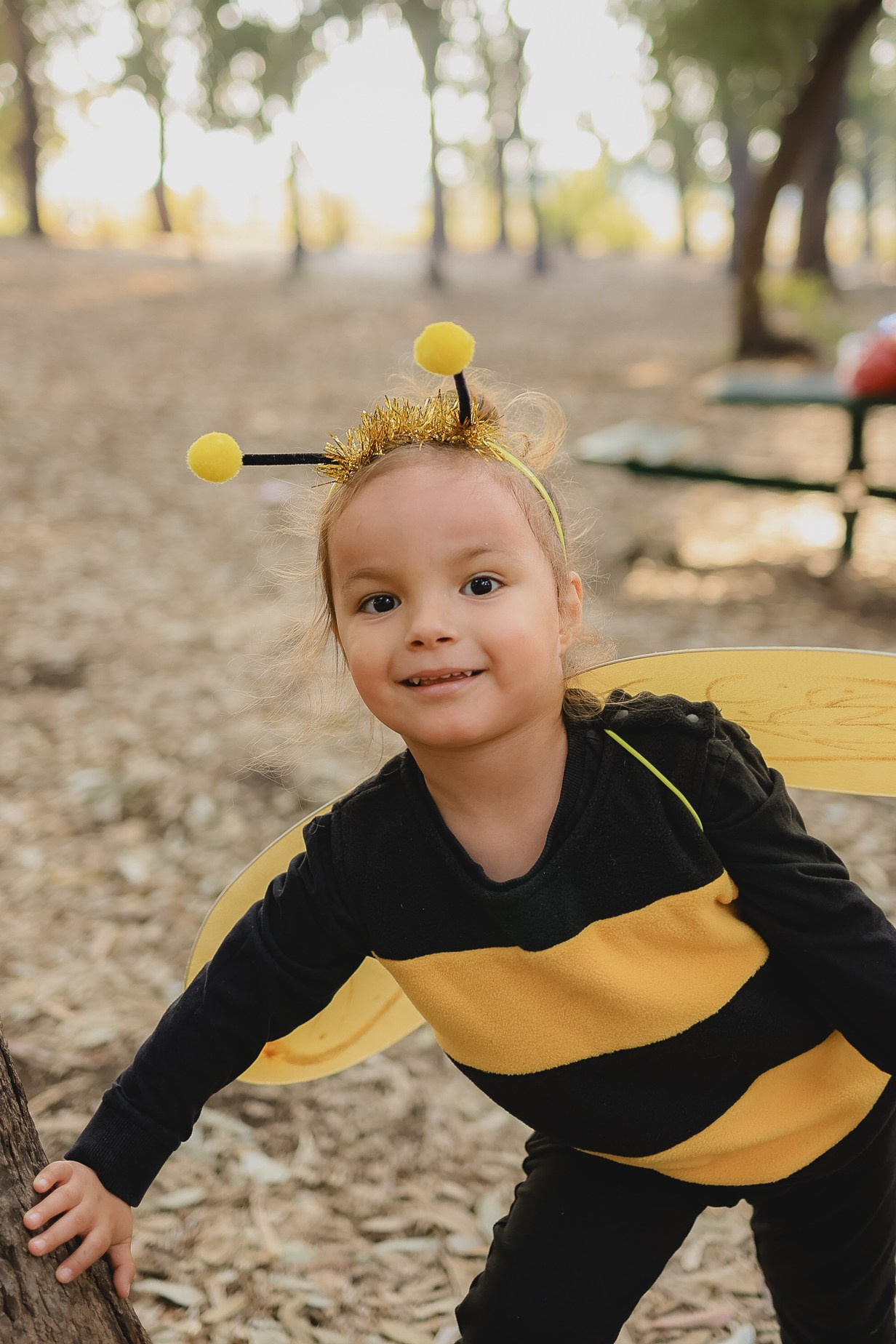 צילומי פורים בטבע. דף בית