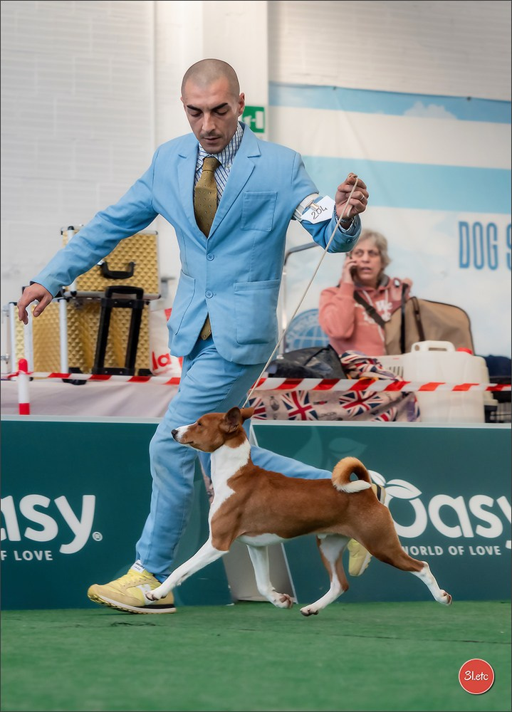 Dog Show  🇮🇹  San Marino. Photographe à Strasbourg | Portraits, Studio, Enfants, Événements