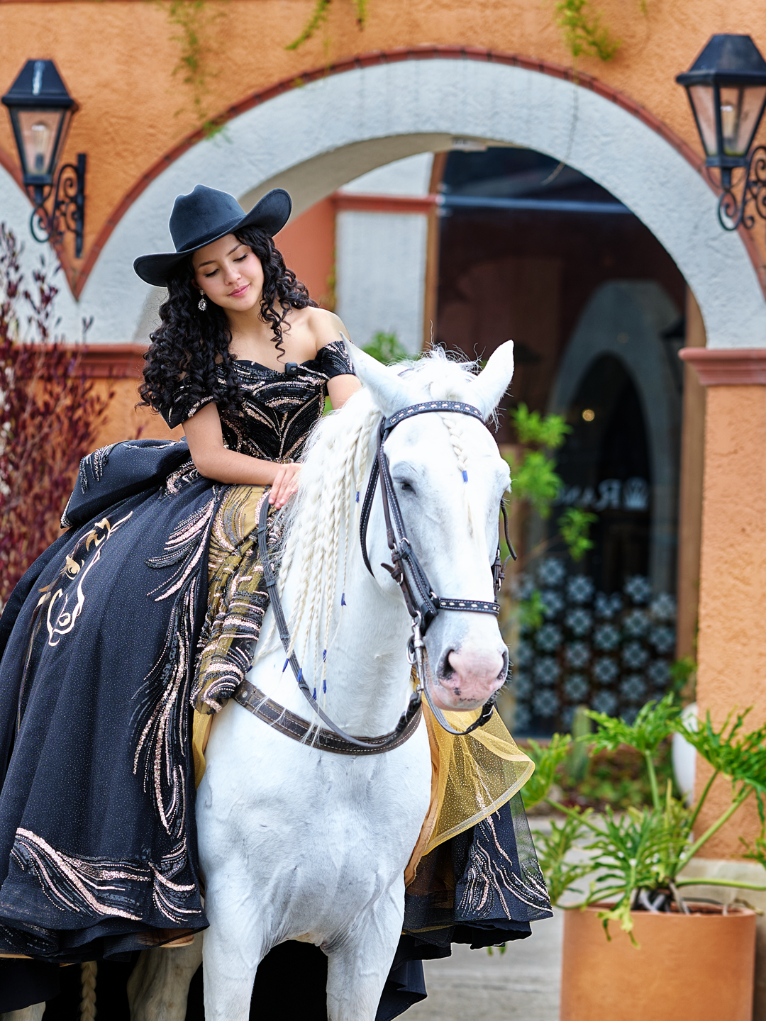 Fotos Con caballos