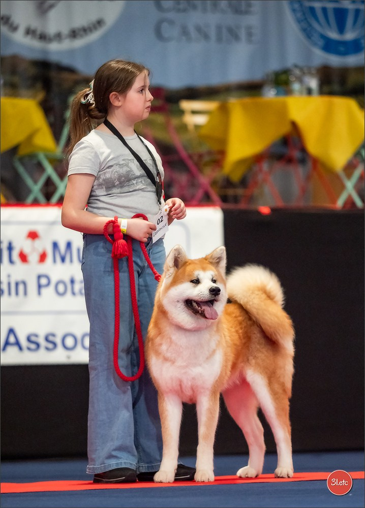 Expo canine   🇫🇷   Mulhouse 5-6/04/2025. Photographe à Strasbourg | Portraits, Studio, Enfants, Événements