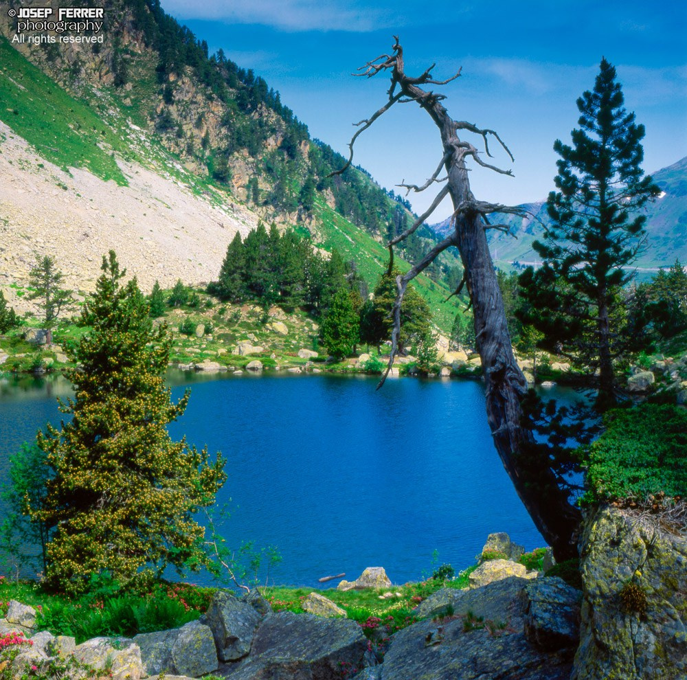Estanys Gerber, Parc nacional d'Aigüestortes, Pirineu català
