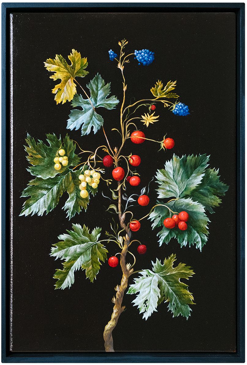 Red Currant. ELEN BEZHEN