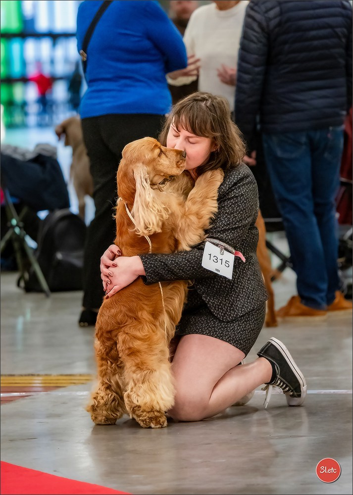PDS  🇫🇷  Paris Dog Show  🇫🇷  Expo canine  10-11/01/2026. Photographe à Strasbourg | Portraits, Studio, Enfants, Événements