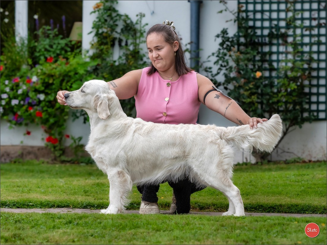 Expo canine Strasbourg  🇫🇷  23-24/08/2025. Photographe à Strasbourg | Portraits, Studio, Enfants, Événements