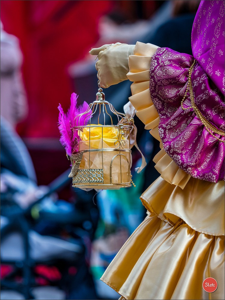 Carnaval venitien de Rosheim 2024. Photographe à Strasbourg | Portraits, Studio, Enfants, Événements