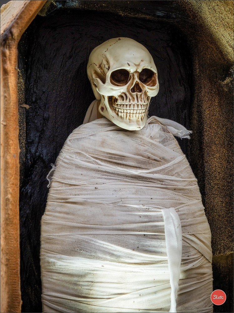 Traditional February carnival. Music, dancing, costume performances. C. Photographe à Strasbourg | Portraits, Studio, Enfants, Événements