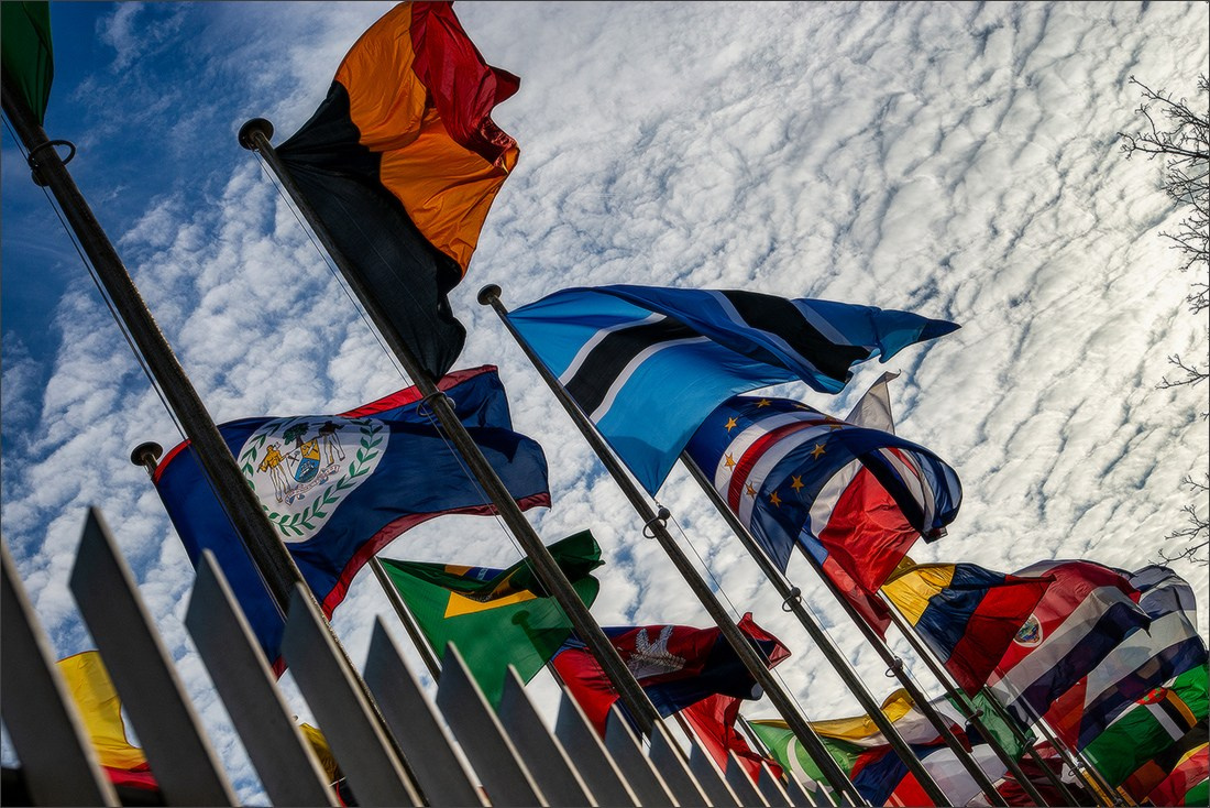 Paris 08/03/2025. Photographe à Strasbourg | Portraits, Studio, Enfants, Événements