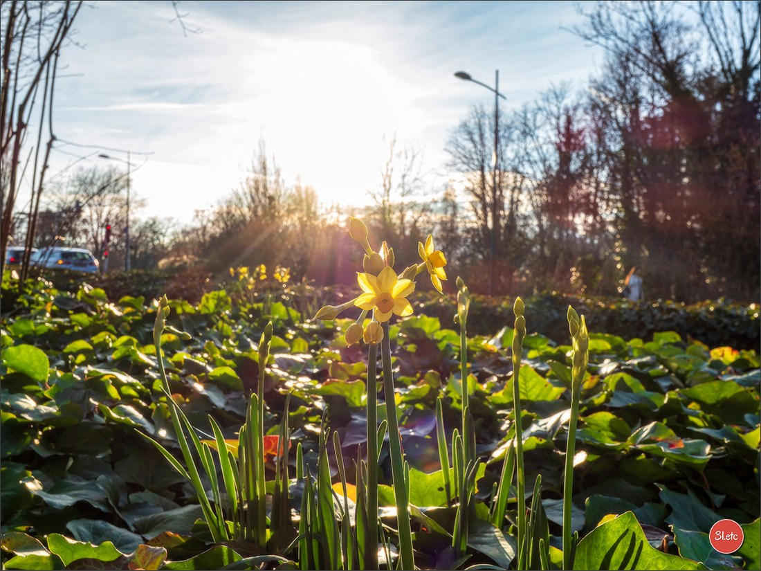 Strasbourg Robertsau. Photographe à Strasbourg | Portraits, Studio, Enfants, Événements