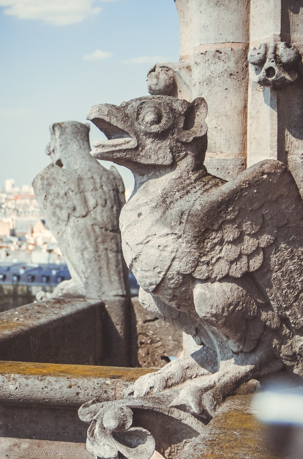 Увидеть Париж десять лет спустя. Фотограф в Германии — Мария Чистякова