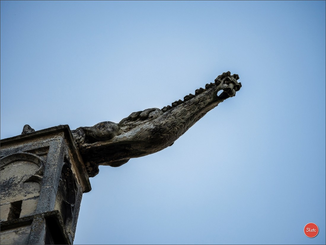 Margny-lès-Compiègne. Photographe à Strasbourg | Portraits, Studio, Enfants, Événements