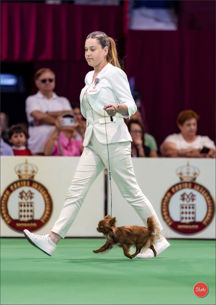 Expo canine 🇲🇨 Monaco 9-10/05/2026. Photographe à Strasbourg | Les animaux, Portraits, Studio, Événements