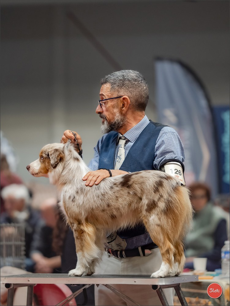 Expo canine 🇫🇷 Martigues  19-20/04/2025. Photographe à Strasbourg | Portraits, Studio, Enfants, Événements