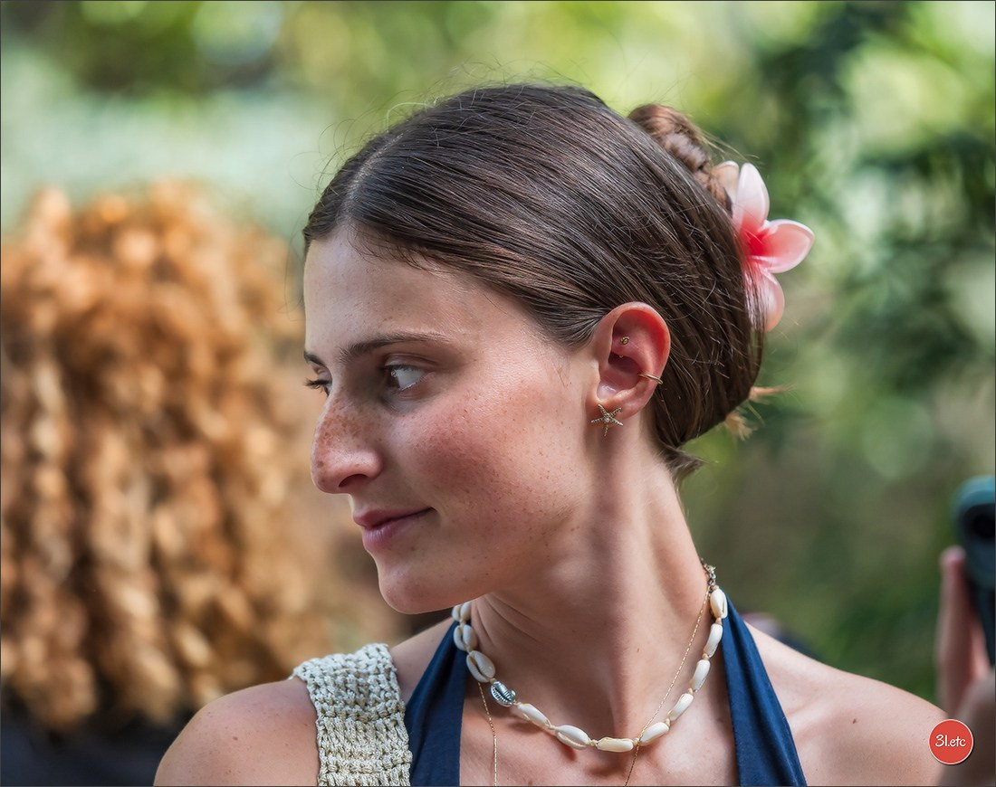 Teckels Parade Strasbourgeoise  Vous pouvez voir le galerie de photos. Photographe à Strasbourg | Portraits, Studio, Enfants, Événements