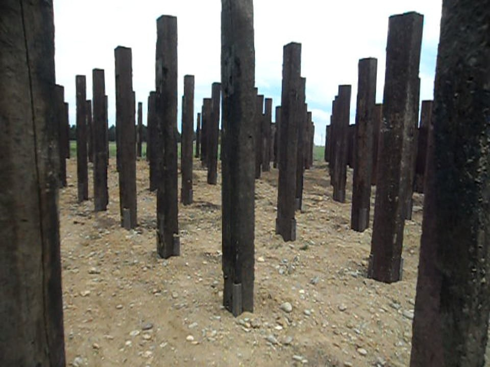 Garden, 2011. Haim Sokol’s artists website