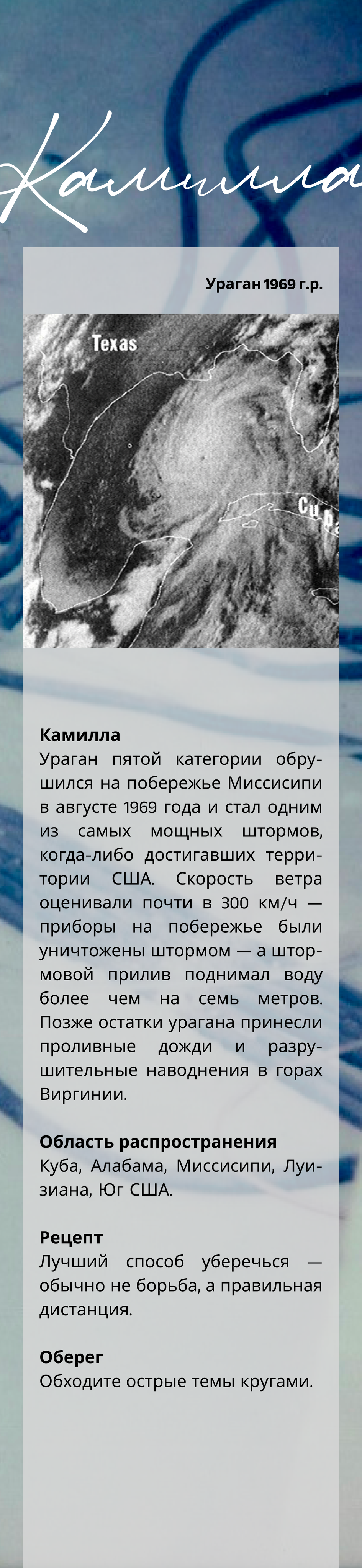 Spira mirabilis| Удивительная спираль. Alina Kugush