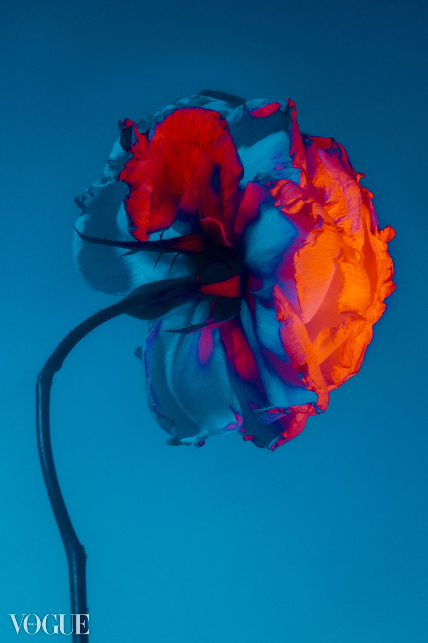 HYU x VOGUE. FINE ART PHOTOGRAPHY