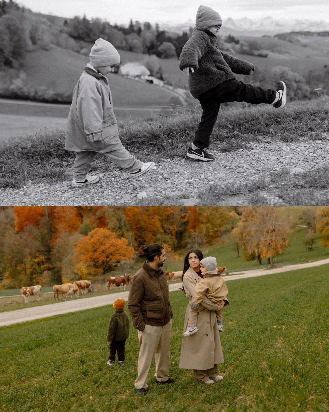 Boys, Cows, Autumn. Polina Sobol — family & documentary photographer in Bern. Outdoor & urban photo sessions for families, kids and couples