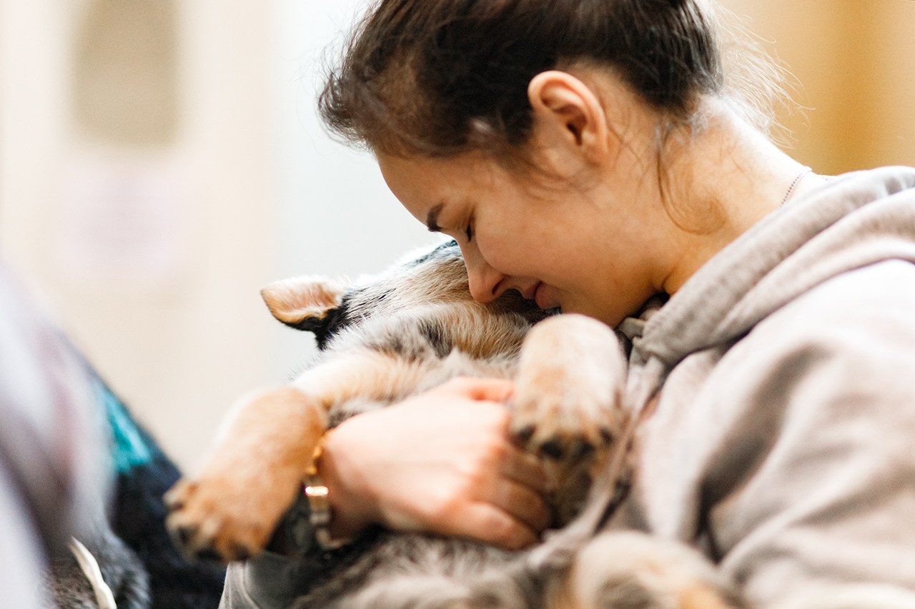 Grodno dog show. Kaja | fotograf we Wrocławiu | ludzie i psy
