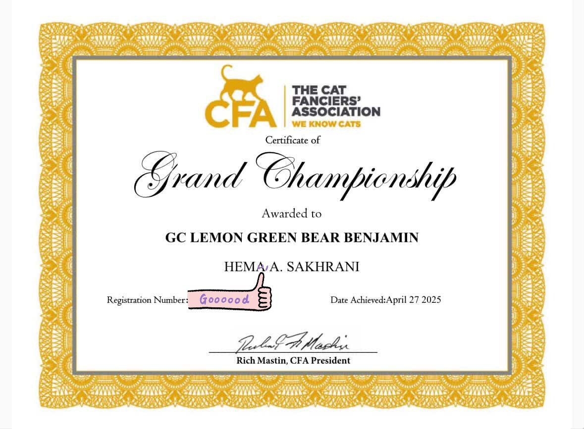 LEMON GREEN SIBERIANS BEAR